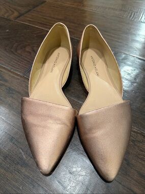 ANTONIO MELANI Metallic Rose Gold Pointed D'Orsay Flats